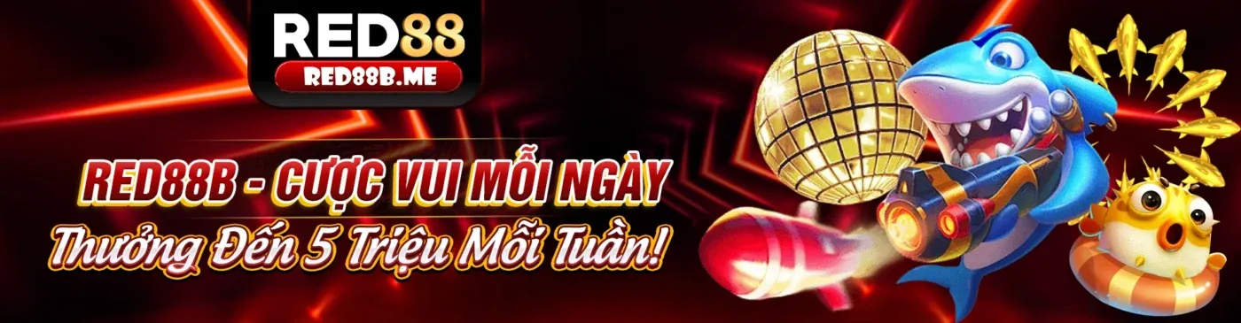 Hình ảnh tổng quan về tin tức nền tảng oke365 code